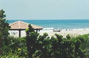 Beach View