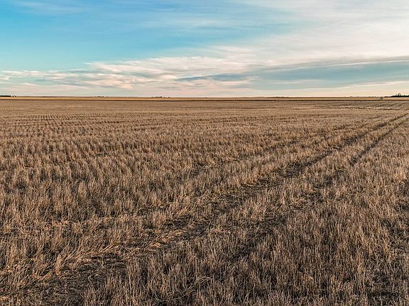 3rd image of Road 47