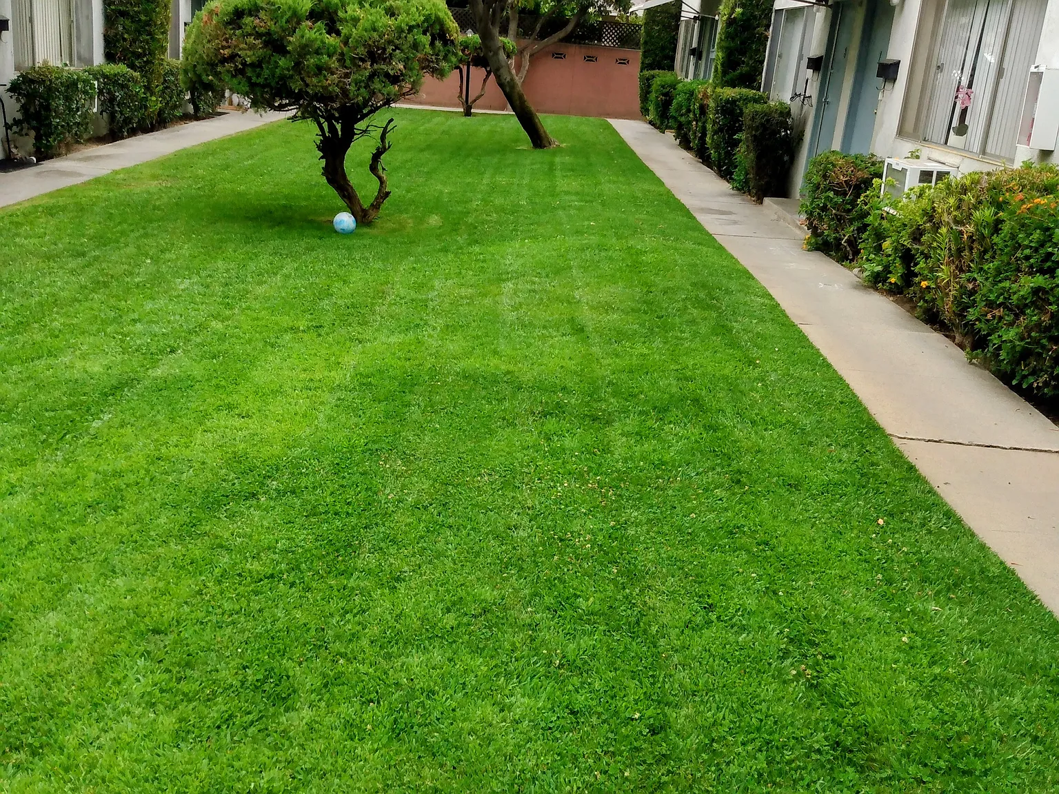 2 bed, 1.5 bath, $2,000 — Photo 1