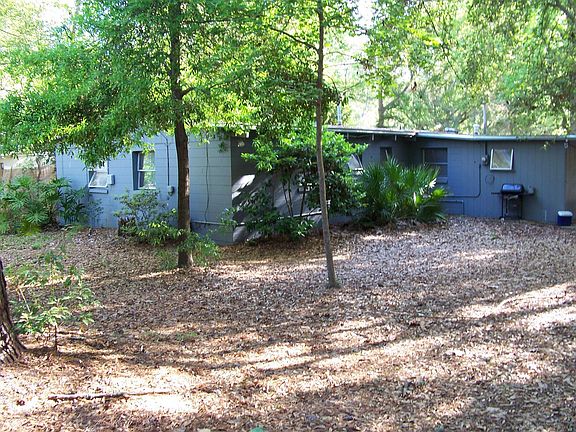 backyard  2