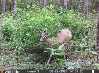 4058 Muddy Springs Rd, Magnolia, MS 39652