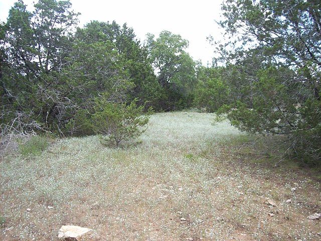 1st image of 118 Cielo Springs Dr