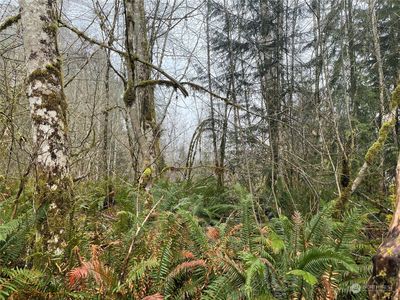 12 x Cedarwood Drive, Elma, WA, 98541