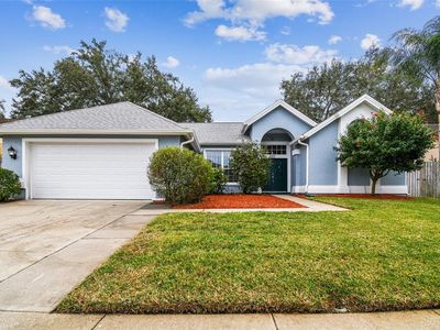 3080 Robinwood Ln, Palm Harbor, FL, 34684
