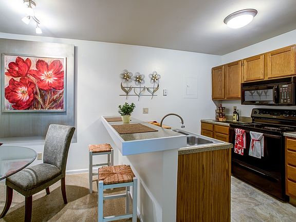 3rd image of 1127 Olive Lake Dr APT H