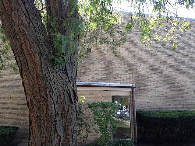 1st image of 738 Dempster St APT Ag12