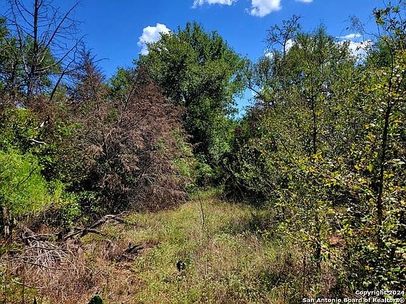 4th image of Dale Cv