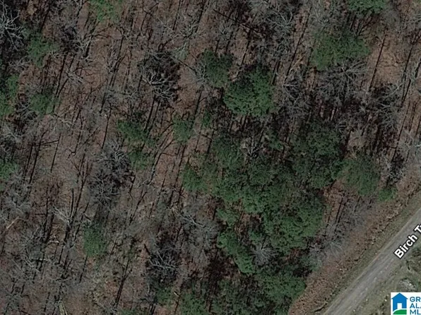 45 Birch Tree Rd #45, Hayden, AL 35079