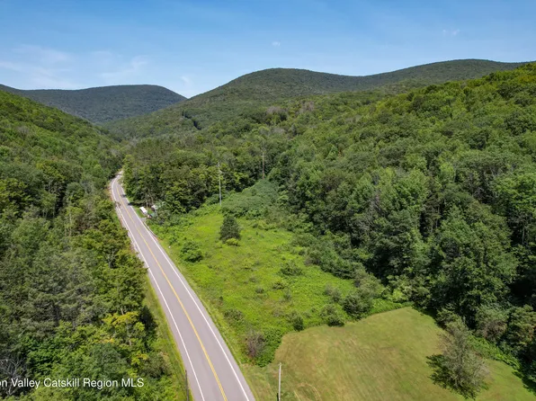 Tbd Route 42, Lexington, NY 12452