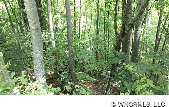 3rd image of 123 Atlantic Falls Trl