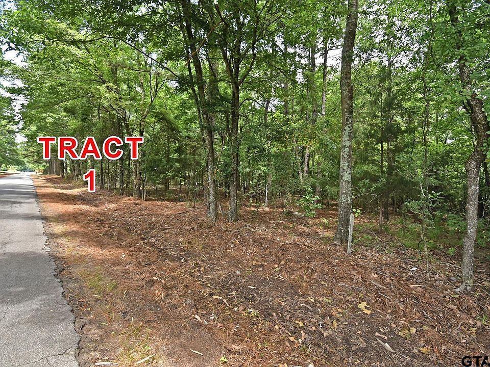 2nd image of TRACT 1 County Road 3117