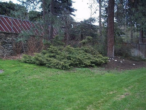 2nd image of 2608 W Woodside Ave