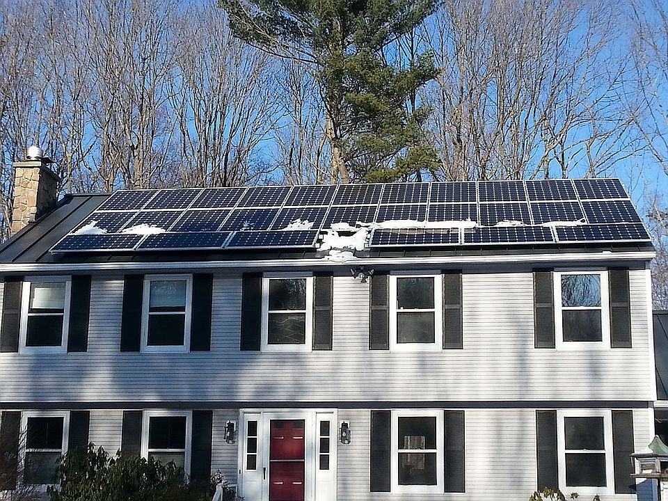 Pines are gone - no shadow