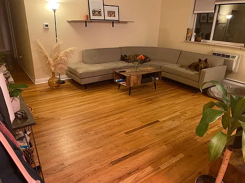 1242 N Gaylord St #103 Photo 1