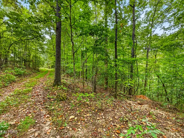 26 Timber Ridge Ln, Celina, TN 38551