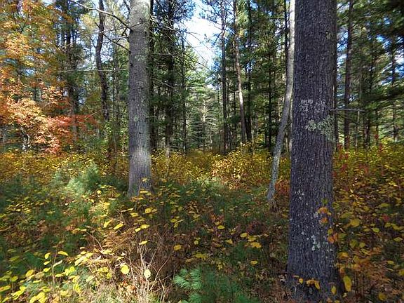 3rd image of LOT 13&14 Wilderness Cres