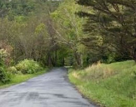 Exterior Neighborhood (street photo)