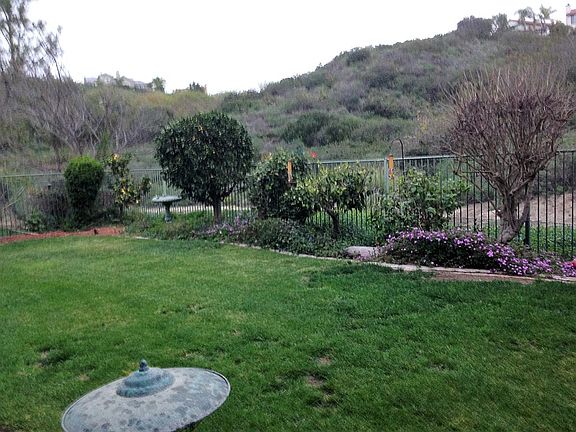 Backyard of 6458 Willow