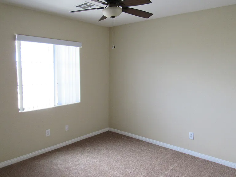 389 Red Eucalyptus Dr — Photo 22