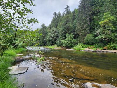 0 River Ln #1303, Swisshome, OR, 97480