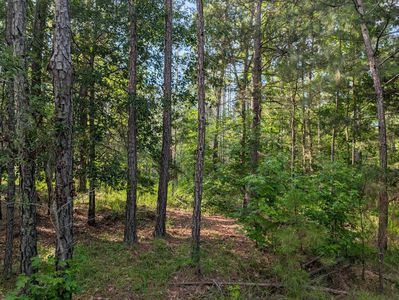 3095 Marshall Road, Appling, GA, 30802