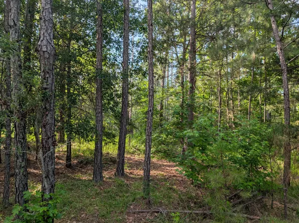 3095 Marshall Road, Appling, GA 30802