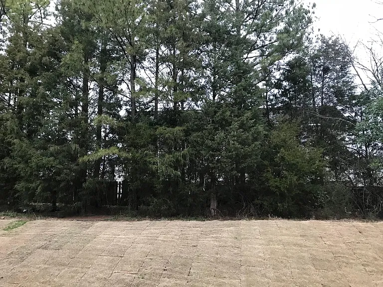 13541 Browhill Ln — Photo 4