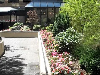 Rented by DJK Residential