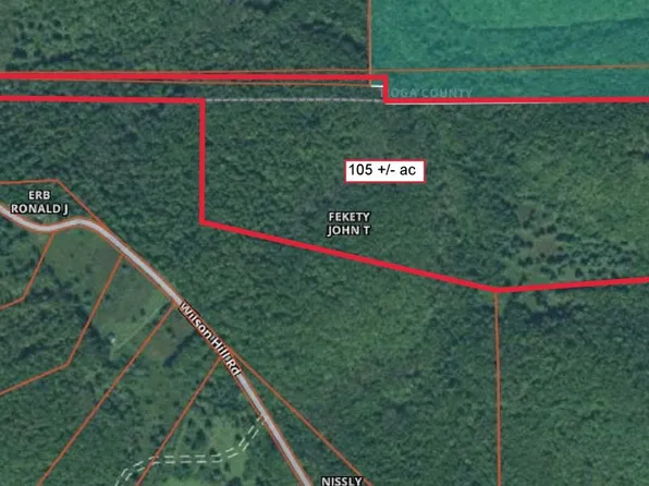 2 Wilson Hill Rd, Morris, PA 16938