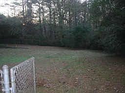 Large fenced backyard