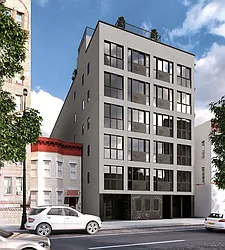 293PLG at 293 Hawthorne Street in Prospect Lefferts Gardens