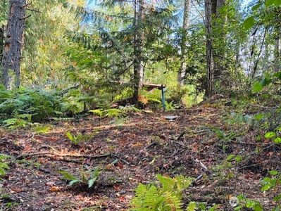 0 E Agate Road, Shelton, WA, 98584