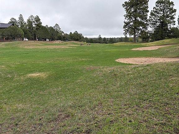 4th image of TBD  Lot 439 S Badger Trail