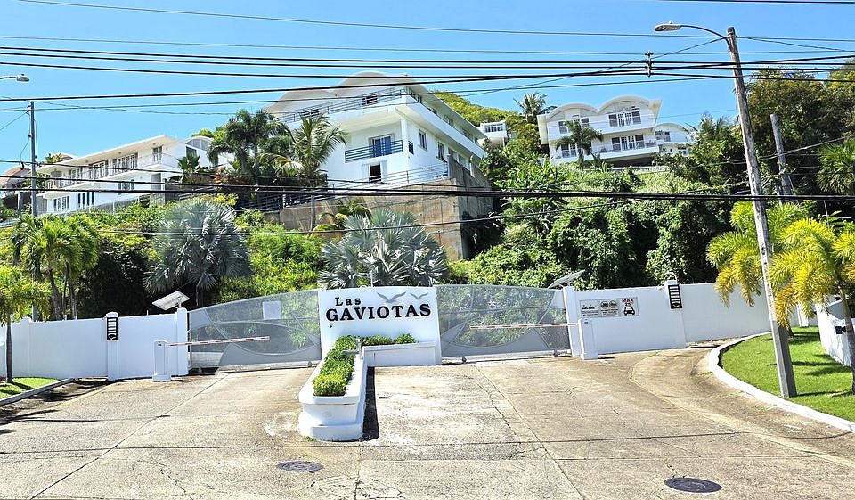 1st image of Trinitaria