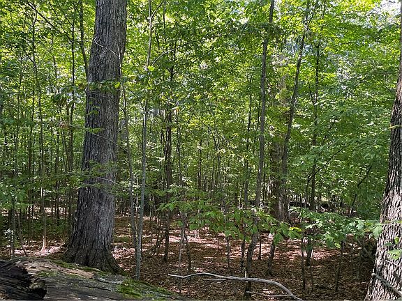 5th image of 19.221 Turnpike Rd