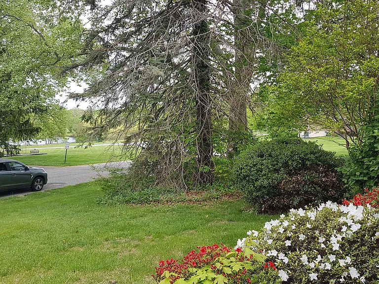 520 Merioneth Dr — Photo 21