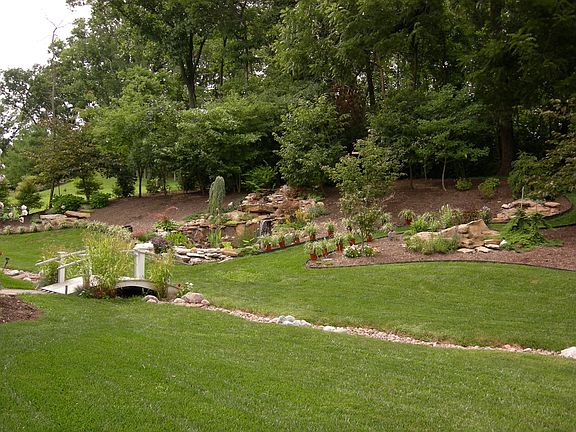 Backyard and Pond