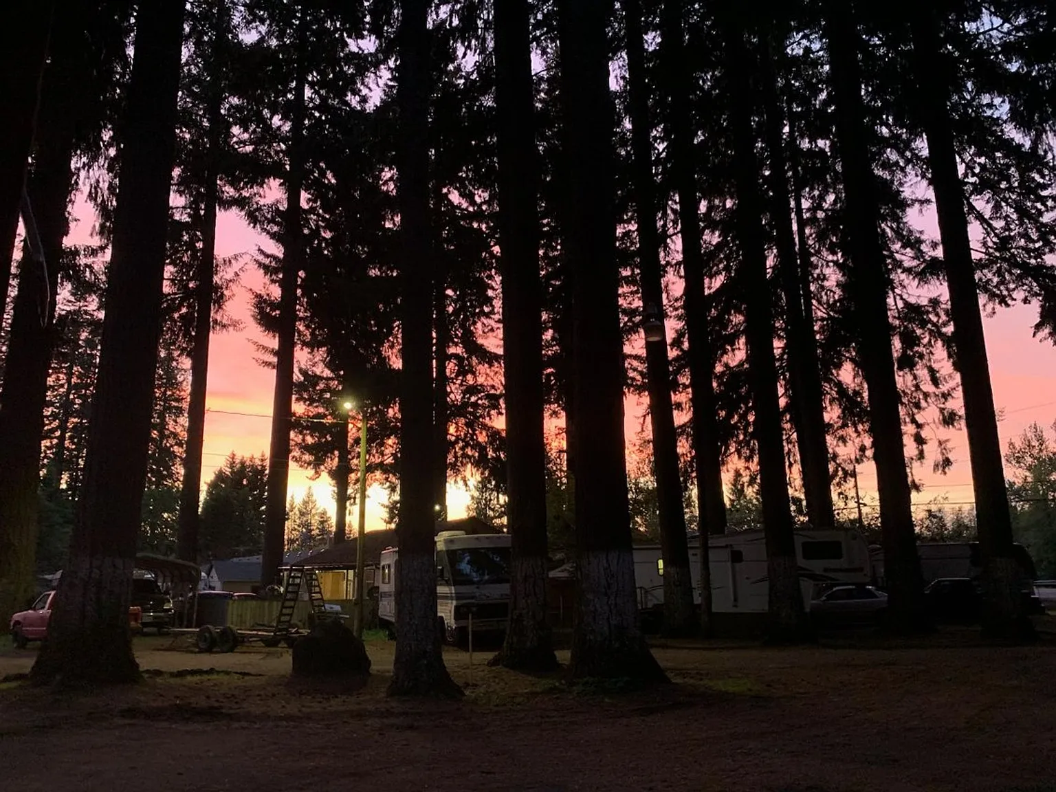 Bigfoot MHP LLC — Photo 4