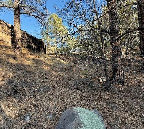 4th image of 2561 W Rogers Dr