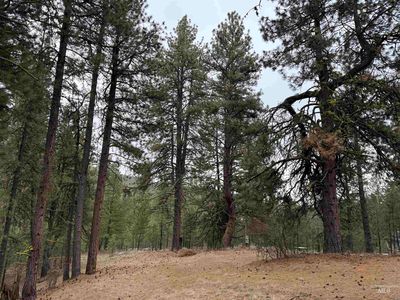 16 Sunset Loop, Cascade, ID, 83611
