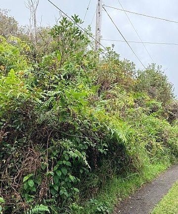 3rd image of Oahu St Lot 11