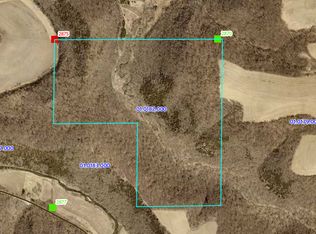 Black, Spring Grove, MN 55974