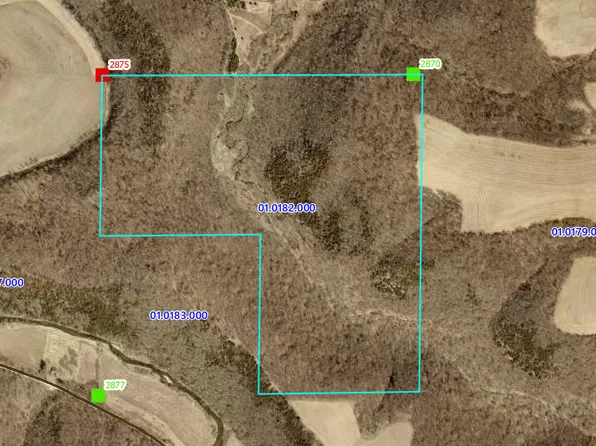 Black, Spring Grove, MN 55974