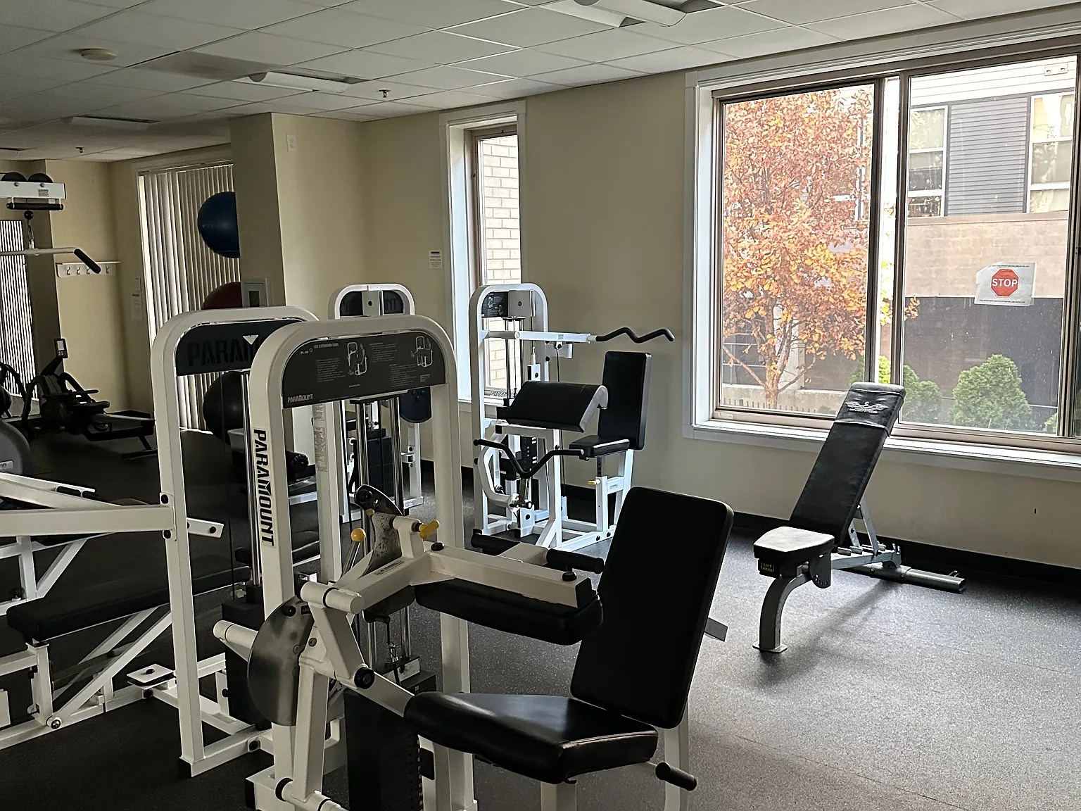 Building Gym