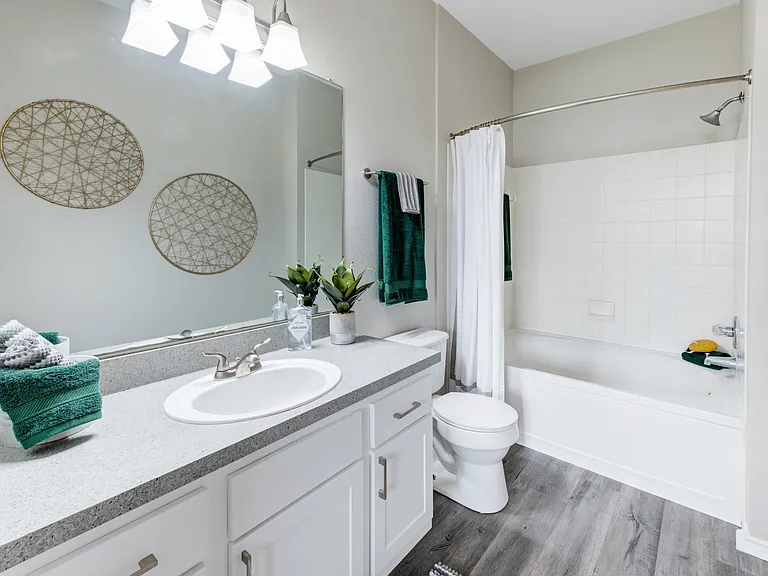Full Bathroom