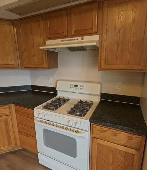 6428 Hannah Stables Dr — Photo 3