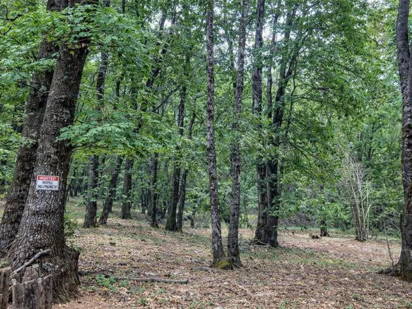 Poplar Ct, Weed, CA 96094