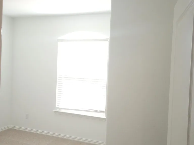 5119 Winterberry Dr — Photo 14