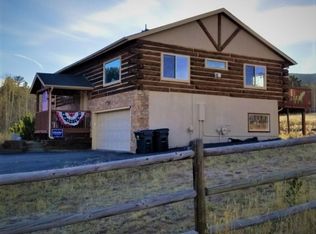 20 Meadow Ln, Bailey, CO 80421