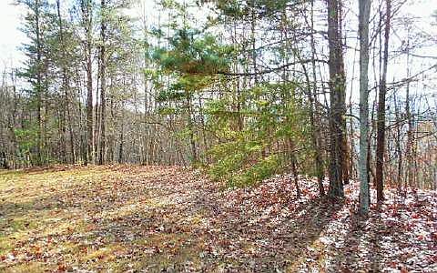 2nd image of Eagle Ridge Rd